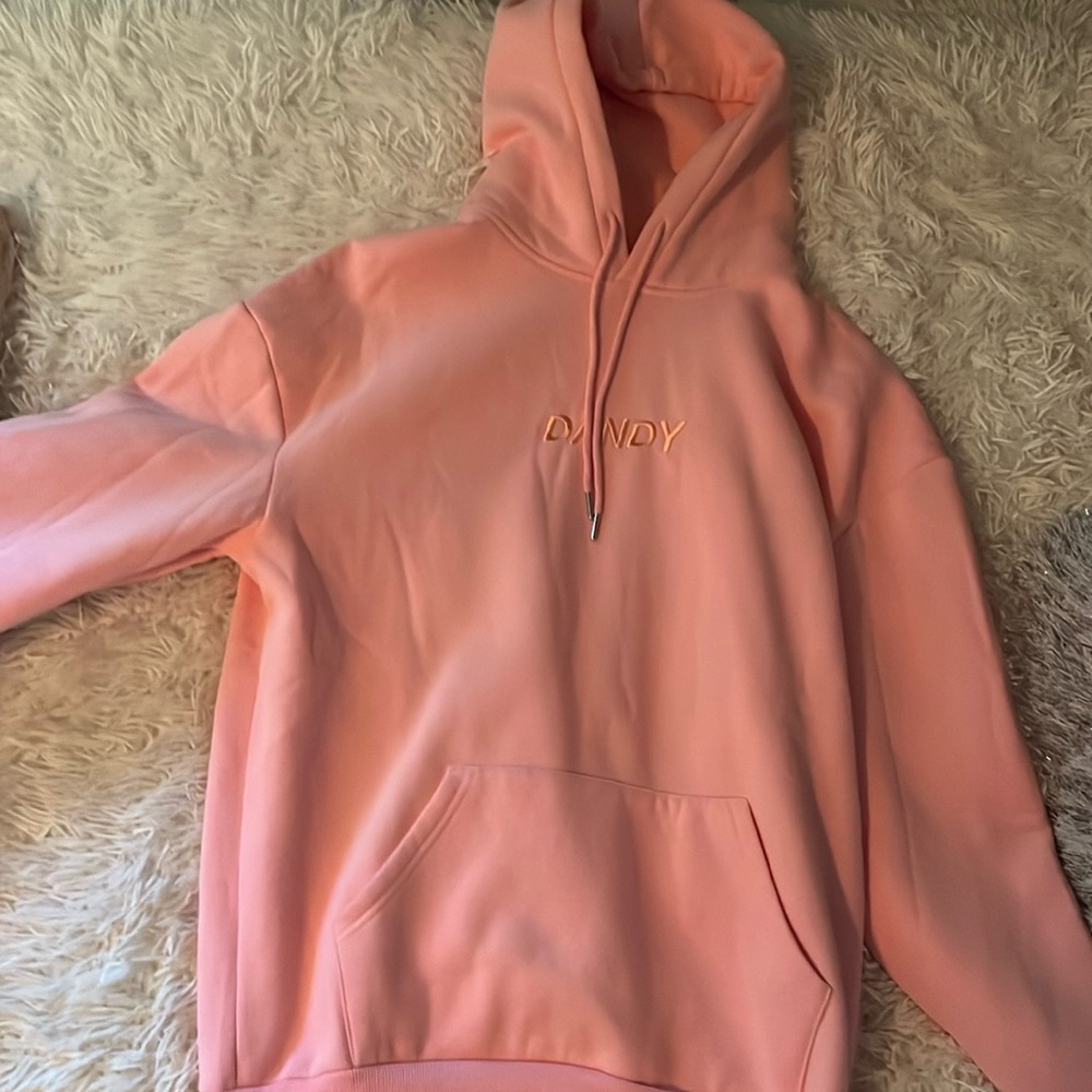 dandy worldwide hoodie never worn
